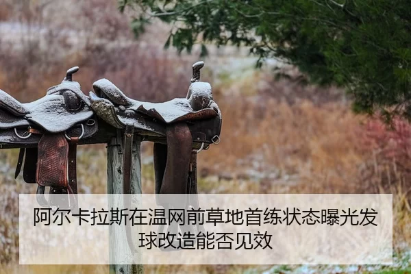 a-er-ka-la-si-zai-wen-wang-qian-cao-di-shou-lian-zhuang-tai-bao-guang-fa-qiu-gai-zao-neng-fou-jian-xiao-2-306.jpg