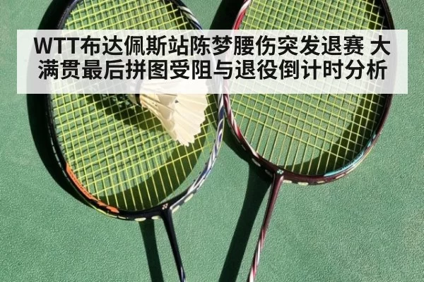 WTT布达佩斯站陈梦腰伤突发退赛 大满贯最后拼图受阻与退役倒计时分析